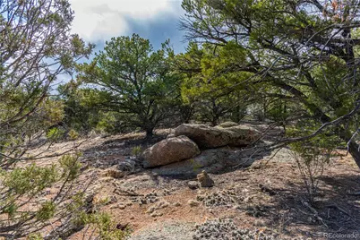 Tr-56 Macdonnell, Cotopaxi, CO 81223 - Photo 11