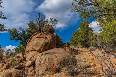Tr-56 Macdonnell, Cotopaxi, CO 81223 - Photo 21