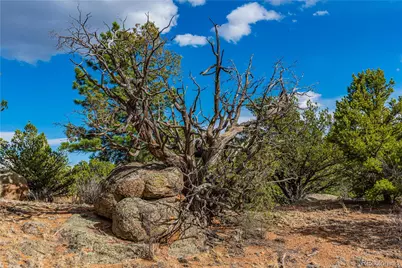 Tr-56 Macdonnell, Cotopaxi, CO 81223 - Photo 23