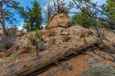 Tr-56 Macdonnell, Cotopaxi, CO 81223 - Photo 19