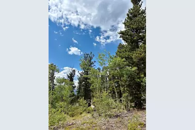 000 Beaver Creek Road, Alma, CO 80420 - Photo 25