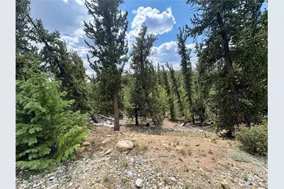 000 Beaver Creek Road, Alma, CO 80420 - Photo 21