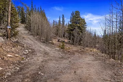 000 Beaver Creek Road, Alma, CO 80420 - Photo 3