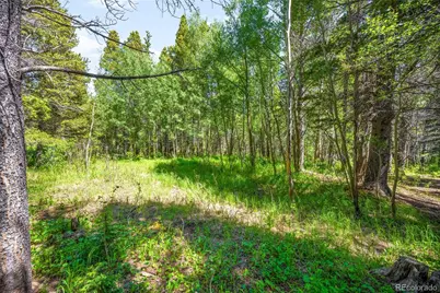 112 Deer Road, Idaho Springs, CO 80452 - Photo 3