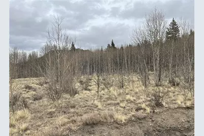 688 Ouray Trail, Como, CO 80432 - Photo 3