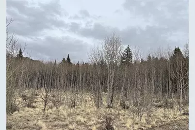 688 Ouray Trail, Como, CO 80432 - Photo 7