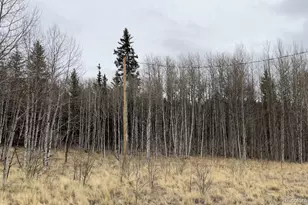 688 Ouray Trail, Como, CO 80432 - Photo 1