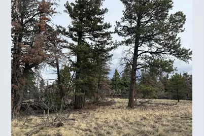 Lot 154 Tahmoush Lane, Fort Garland, CO 81133 - Photo 9