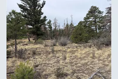 Lot 154 Tahmoush Lane, Fort Garland, CO 81133 - Photo 21