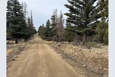 Lot 154 Tahmoush Lane, Fort Garland, CO 81133 - Photo 23