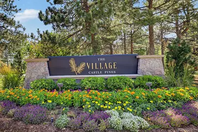 5270 Red Pass Lane, Castle Rock, CO 80108 - Photo 39