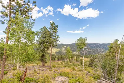 13144 Pine Country Lane, Conifer, CO 80433 - Photo 31