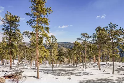 13144 Pine Country Lane, Conifer, CO 80433 - Photo 5