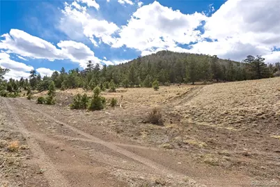 2181 Cr-116, Hartsel, CO 80449 - Photo 25