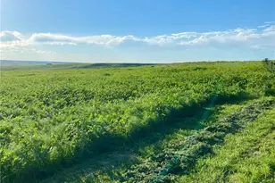 40543 Way of Patience, Deer Trail, CO 80105 - Photo 39