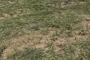 40543 Way of Patience, Deer Trail, CO 80105 - Photo 39