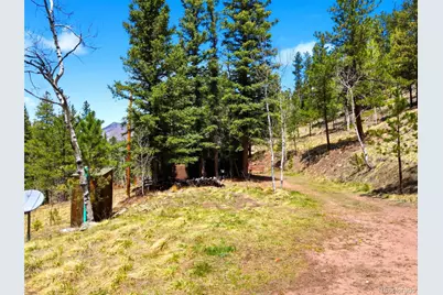 652 Payne Gulch Road, Bailey, CO 80421 - Photo 29