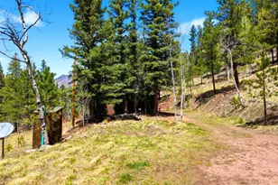 652 Payne Gulch Rd, Bailey, CO 80421 - Photo 29