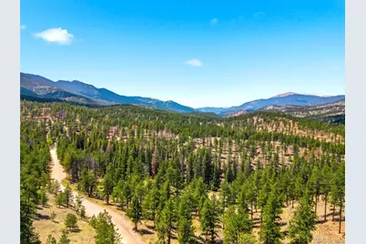 652 Payne Gulch Road, Bailey, CO 80421 - Photo 33