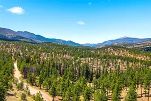 652 Payne Gulch Rd, Bailey, CO 80421 - Photo 33