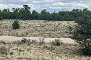 1592 Spanish Creek Rd, Crestone, CO 81131 - Photo 35