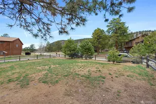 38 Buttermilk Ln, Bailey, CO 80421 - Photo 37