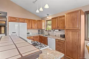 13976 Wamblee Trail, Conifer, CO 80433 - Photo 13