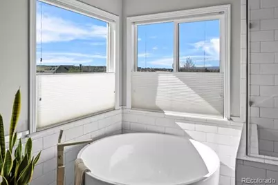 10740 Wildridge Court, Parker, CO 80138 - Photo 27