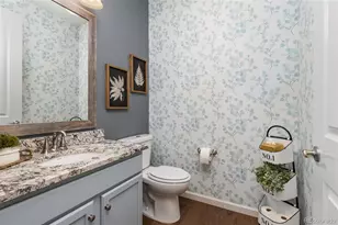 6315 Leilani Ln, Castle Rock, CO 80108 - Photo 19