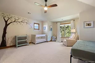 4775 Silver Pine Dr, Castle Rock, CO 80108 - Photo 31