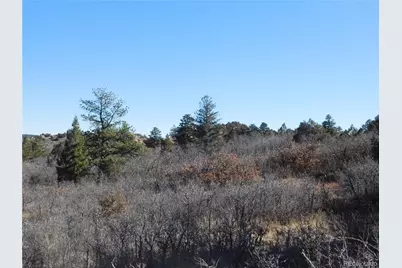 6271 Country Club Drive, Larkspur, CO 80118 - Photo 35