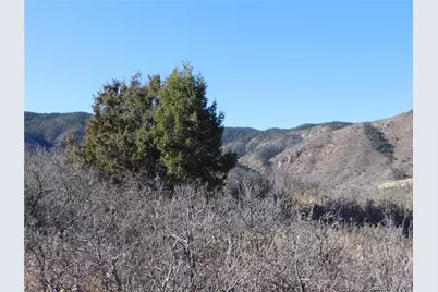 6271 Country Club Drive, Larkspur, CO 80118 - Photo 19