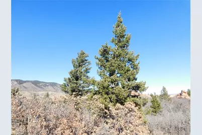 6271 Country Club Drive, Larkspur, CO 80118 - Photo 21