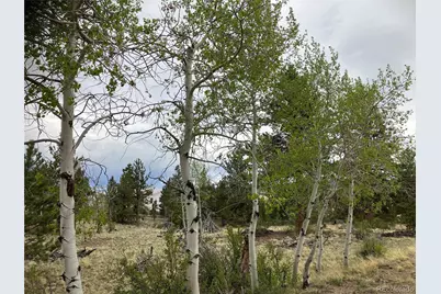 256 Bandana Road, Hartsel, CO 80449 - Photo 1