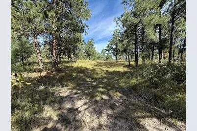 17405 E Goshawk, Colorado Springs, CO 80908 - Photo 1