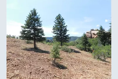 6382 Country Club Drive, Larkspur, CO 80118 - Photo 19