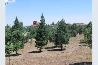 6382 Country Club Drive, Larkspur, CO 80118 - Photo 43