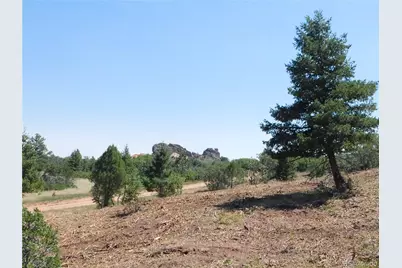 6382 Country Club Drive, Larkspur, CO 80118 - Photo 27