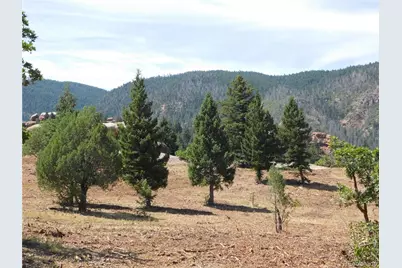 6382 Country Club Drive, Larkspur, CO 80118 - Photo 3