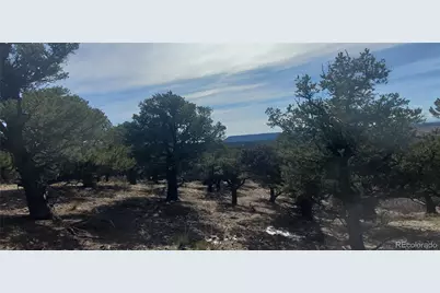 Lot 7274 Barker Road, Fort Garland, CO 81133 - Photo 7