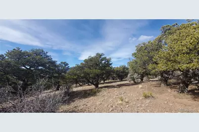 Lot 7274 Barker Road, Fort Garland, CO 81133 - Photo 9