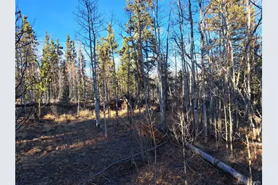 1645 Chippewa Road, Como, CO 80432 - Photo 19