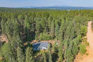 22 Silver Trail, Florissant, CO 80816 - Photo 23