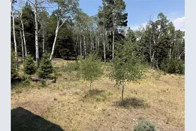 2357 Benton Place, Fort Garland, CO 81133 - Photo 17