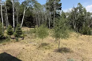 2357 Benton Pl, Fort Garland, CO 81133 - Photo 17