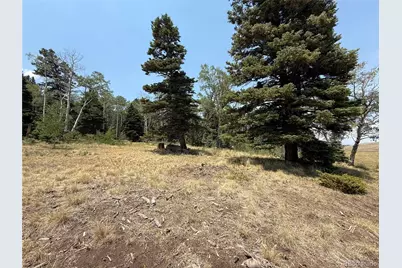 2357 Benton Place, Fort Garland, CO 81133 - Photo 11