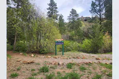 Buena Vista Avenue, Palmer Lake, CO 80133 - Photo 13