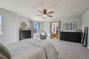 2959 Night Song Way, Castle Rock, CO 80109 - Photo 29