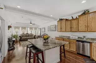 18621 E 50th Pl, Denver, CO 80249 - Photo 11