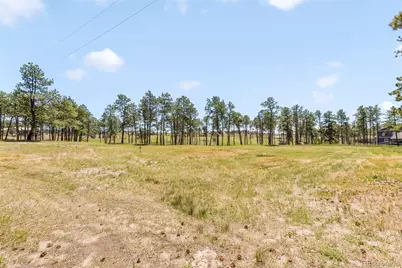 13355 Pinery Drive, Colorado Springs, CO 80908 - Photo 39